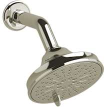 Polished Nickel