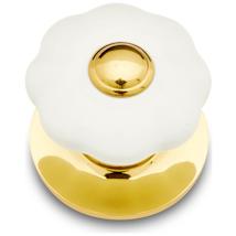 Polished Brass / White