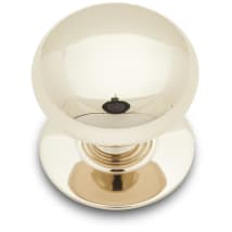 Polished Nickel