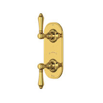 Unlacquered Brass