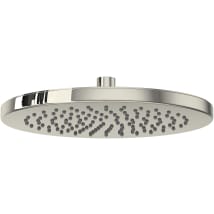 Polished Nickel