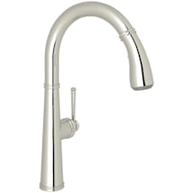 Polished Nickel