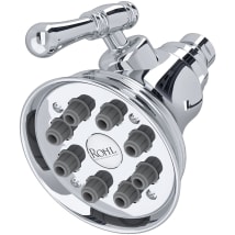 Polished Chrome