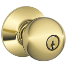 Polished Brass