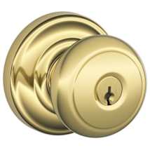 Polished Brass