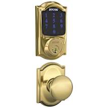 Polished Brass
