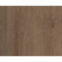 Raw Sienna