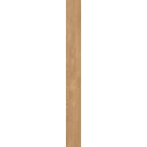 Rift Oak