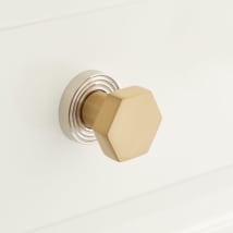 Brushed Brass / Polished Nickel