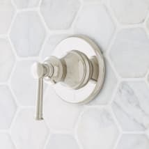 Polished Nickel
