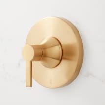 Brushed Gold