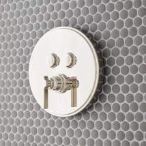 Polished Nickel