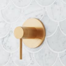Brushed Gold