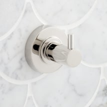 Polished Nickel