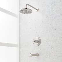 Brushed Nickel