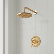 Brushed Gold