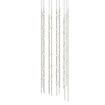 Satin Nickel