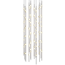 Espresso Black / White Lens