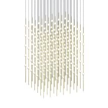 Satin Brass / White Optical