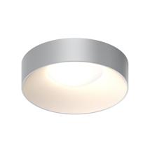 Dove Gray