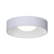 Dove Gray