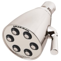 Polished Nickel