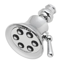 Polished Chrome
