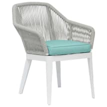 Frost / Dupione Celeste