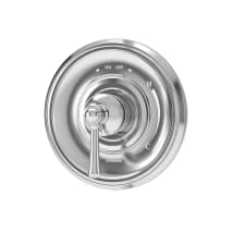 Polished Chrome