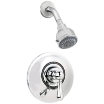 Polished Chrome