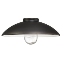 Oil Rubbed Bronze / Gold High