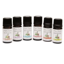 Essential Oil 6 Pack