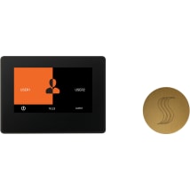 Black / Antique Brass