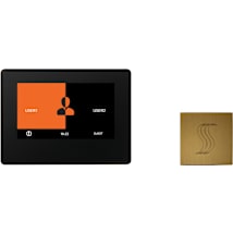 Black / Antique Brass