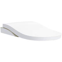 Cotton with Silver Trim