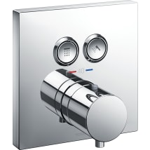 Polished Chrome