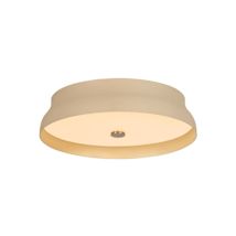 Patina Brass / Cream Gesso