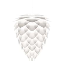 White with Black Canopy