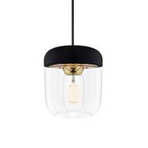 Polished Brass with Black Canopy