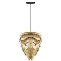 Brushed Brass with Black Base