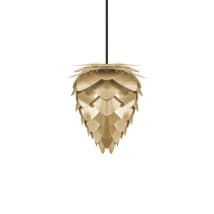 Brushed Brass with Black Base