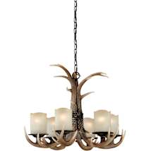 Black Walnut