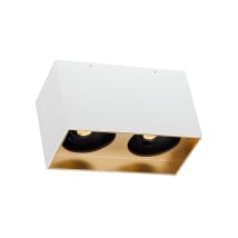 Matte White / Gold Haze Trim / 40 Beam Spread