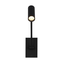 Nightshade Black