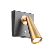 Black / Aged Brass