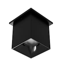 Black / Black