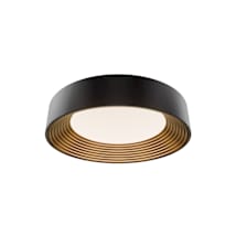 Black / Gold