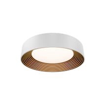 White / Gold