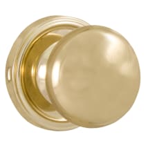 Polished Brass