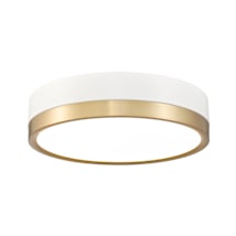 Matte White / Modern Gold